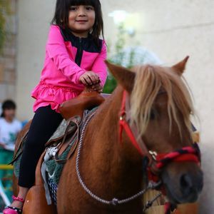 Meet your Posher, Sofia